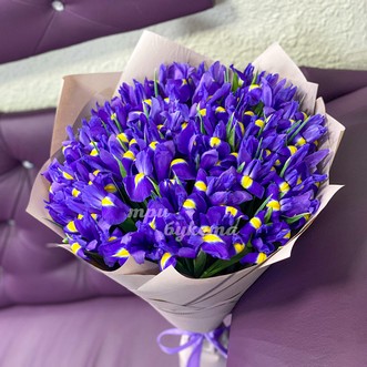 Букет из 31 ириса