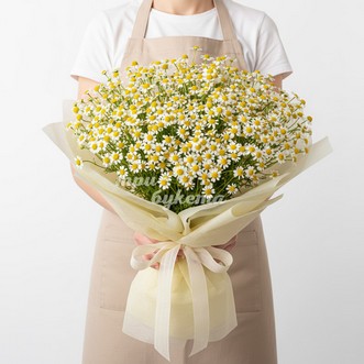 Букет из 51 ромашки