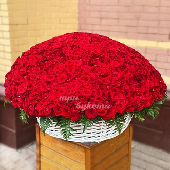 1001 красная роза в корзине 1001 красная роза в корзине