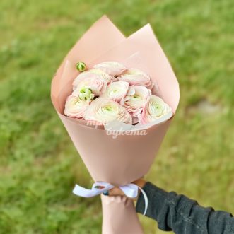 Букет светло-розовых ранункулюсов