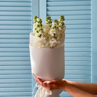 Букет из 5 белых маттиол